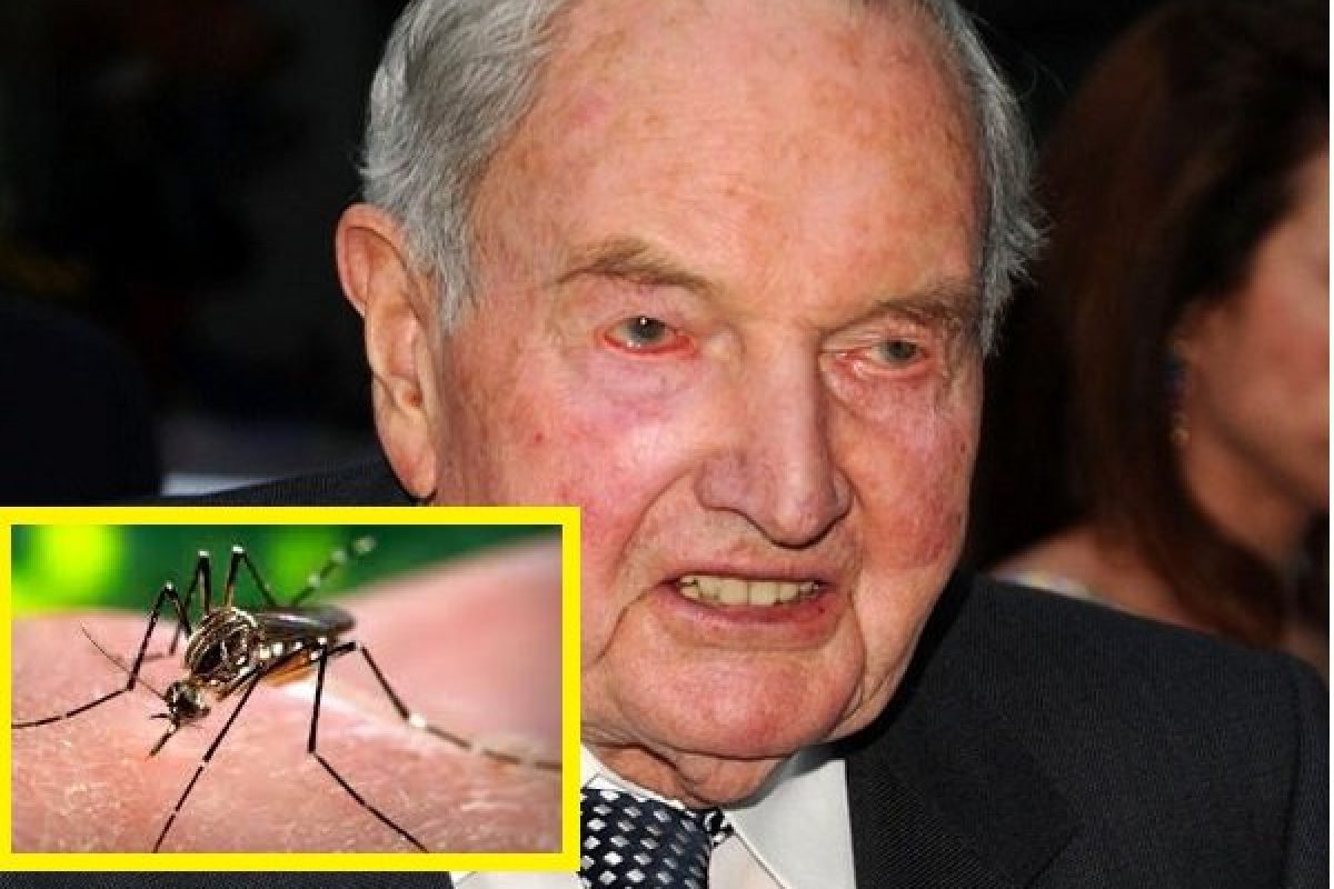 Virusul Zika a fost creat și patentat de Rockefeller cu scopul de a ucide milioane de oameni